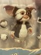 画像2: Gremlins/Action Figure(2003/Gizmo/MOC) GR-032 (2)