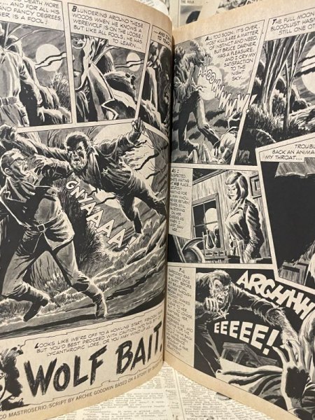 画像3: EERIE Magazine(1971 Annual) BK-145 (3)