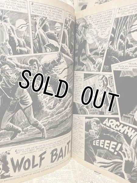 画像3: EERIE Magazine(1971 Annual) BK-145 (3)