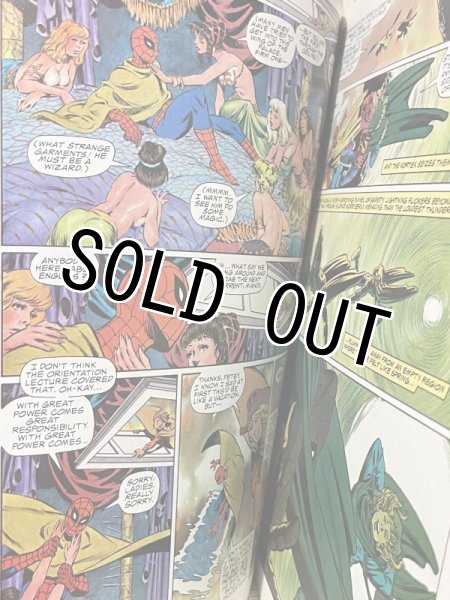 画像4: Spider-Man/Graphic Novel(1986/Spider-Man in Hooky) BK-209 (4)