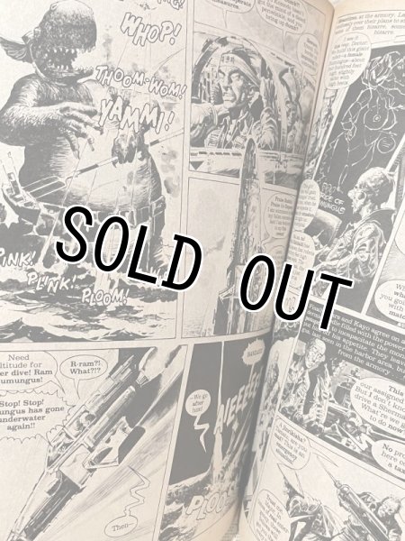 画像3: 1984 Magazine(1979/No.9) BK-204 (3)