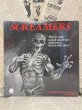 画像1: Screamers Soundtrack/LP Record(1981) RE-028 (1)