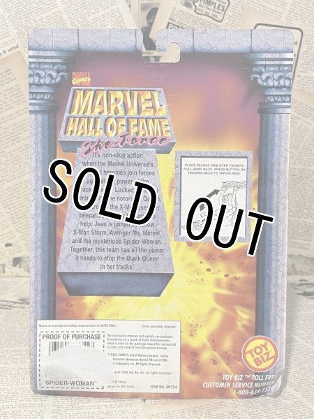 画像3: Marvel Hall of Fame/Action Figure(Spider-Woman/MOC) MA-235 (3)
