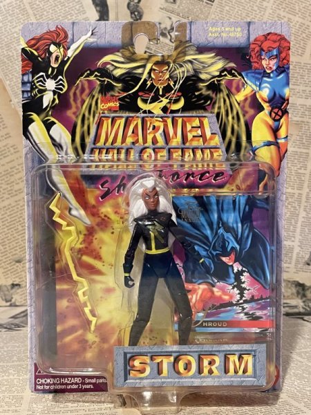 画像1: Marvel Hall of Fame/Action Figure(Storm/MOC) MA-236 (1)