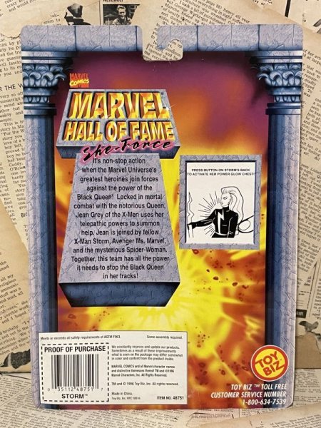 画像3: Marvel Hall of Fame/Action Figure(Storm/MOC) MA-236 (3)