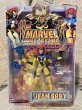 画像1: Marvel Hall of Fame/Action Figure(Jean Grey/MOC) MA-240 (1)