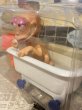 画像2: Ren&Stimpy/Action Figure(Bathtub Ren/MOC) NC-028 (2)