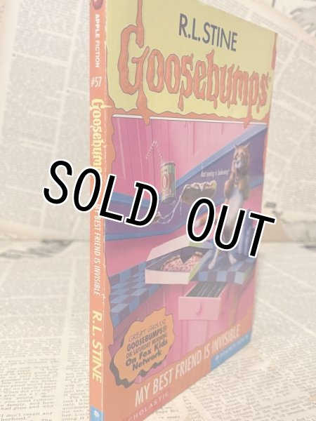 画像2: Goosebumps/My Best Friends is Invisible(90s) BK-244 (2)