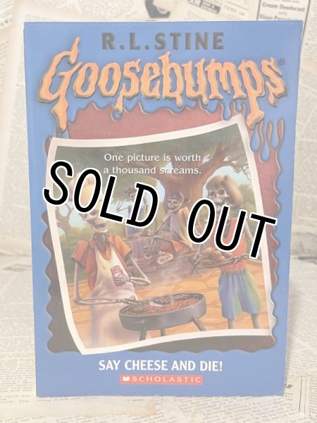 画像1: Goosebumps/Say Cheese and Die!(90s) BK-241 (1)