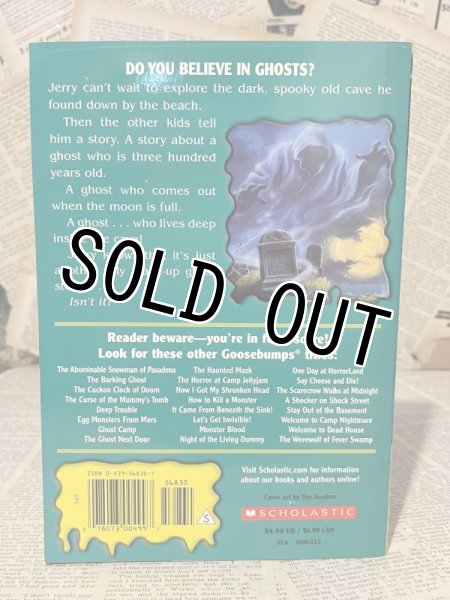 画像3: Goosebumps/Ghost Beach(90s) BK-254 (3)