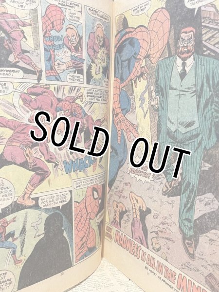 画像3: Amazing Spider-Man/Comic(70s/#169) BK-301 (3)