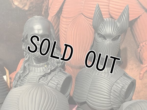 画像4: Bram Stoker's Dracula/Vinyl Model Kit(90s/Horizon) MT-248 (4)