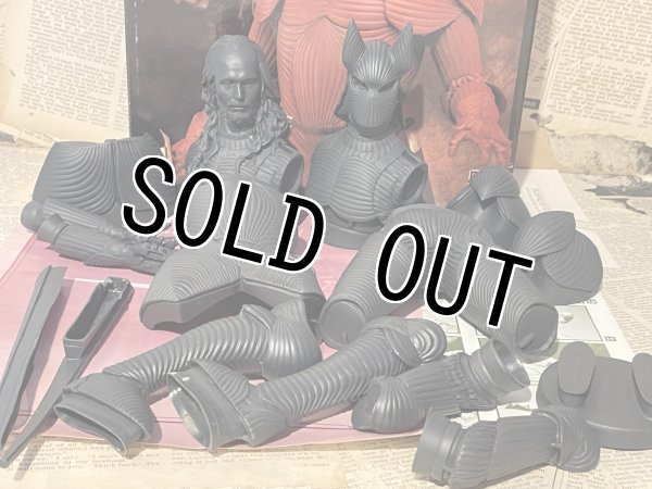 画像5: Bram Stoker's Dracula/Vinyl Model Kit(90s/Horizon) MT-248 (5)