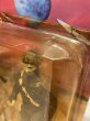 画像5: DUNE/Action Figure(Stilgar the Fremen/MOC) MO-290 (5)