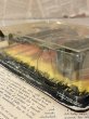 画像3: Jurassic Parc/Action Figure(Alan Grant/MOC) MO-392 (3)