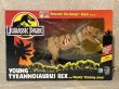 画像1: Jurassic Parc/Action Figure(Young T-Rex/MIB) MO-394 (1)