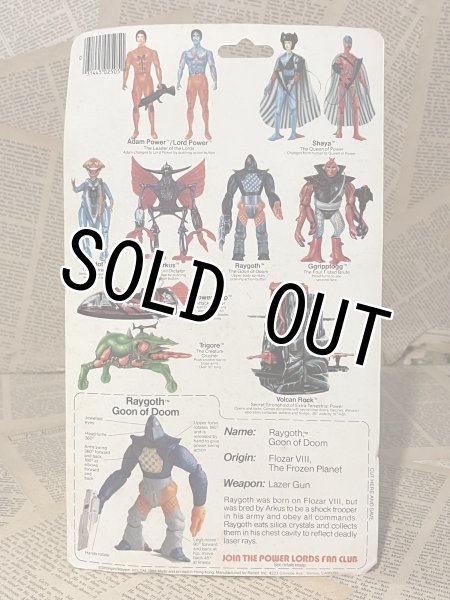 画像3: Power Lords/Action Figure(Raygoth/MOC) FA-322 (3)