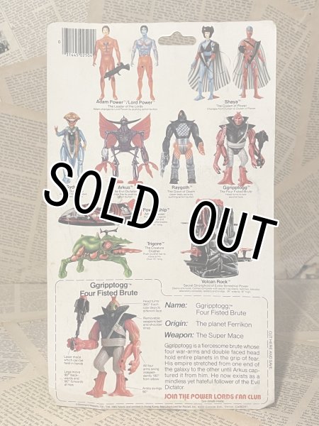 画像3: Power Lords/Action Figure(Ggripptogg/MOC) FA-321 (3)