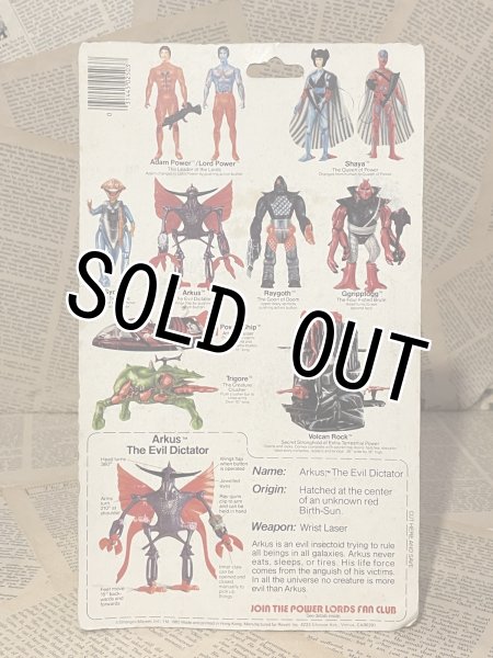画像4: Power Lords/Action Figure(Arkus/MOC) FA-320 (4)