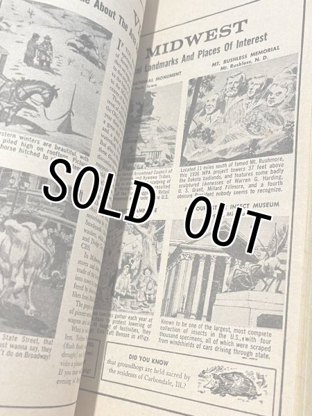 画像2: MAD/Pocket Book(The Mad Sampler) BK-377 (2)