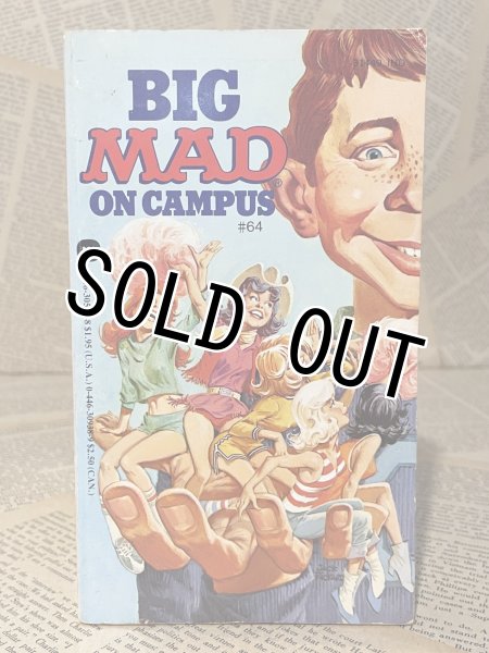 画像1: MAD/Pocket Book(Big Mad on Campus) BK-379 (1)