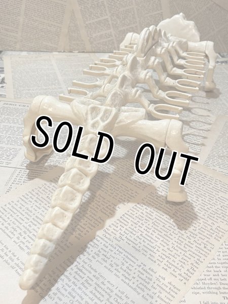 画像2: MOTU/Battle Bones(80s) FA-294 (2)