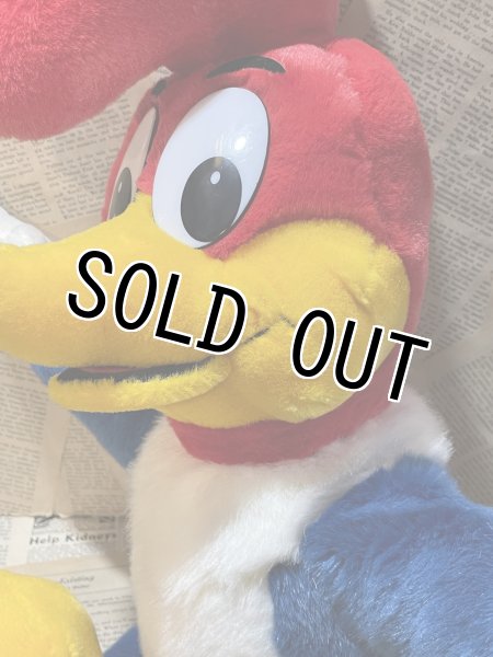 画像3: Woody & Winnie Woodpecker/Plush doll set(80s) CT-230 (3)