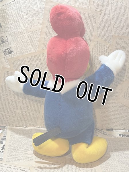 画像4: Woody & Winnie Woodpecker/Plush doll set(80s) CT-230 (4)