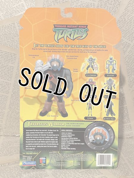 画像3: TMNT/Action Figure(2004/Triceraton Warrior/MOC) TM-221 (3)