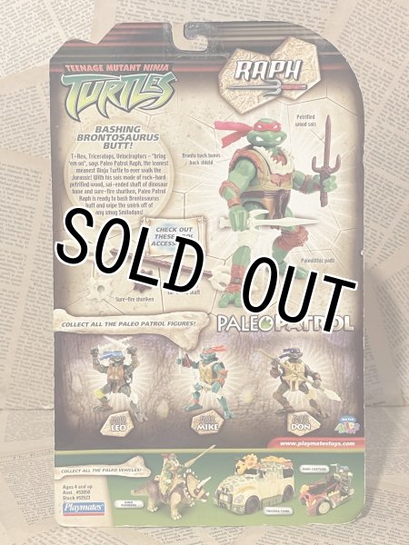 画像9: TMNT/Action Figure set(2006/Paleo Patrol Turtles/MOC) TM-243 (9)