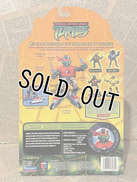 画像5: TMNT/Action Figure set(2004/Extreme Sports Turtles/MOC) TM-241 (5)