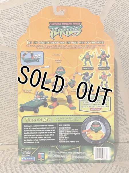 画像9: TMNT/Action Figure set(2004/Extreme Sports Turtles/MOC) TM-241 (9)