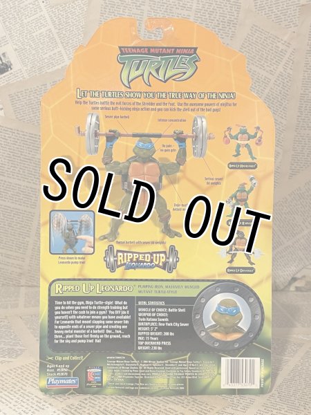 画像3: TMNT/Action Figure(2004/Ripped Up Leonardo/MOC) TM-229 (3)