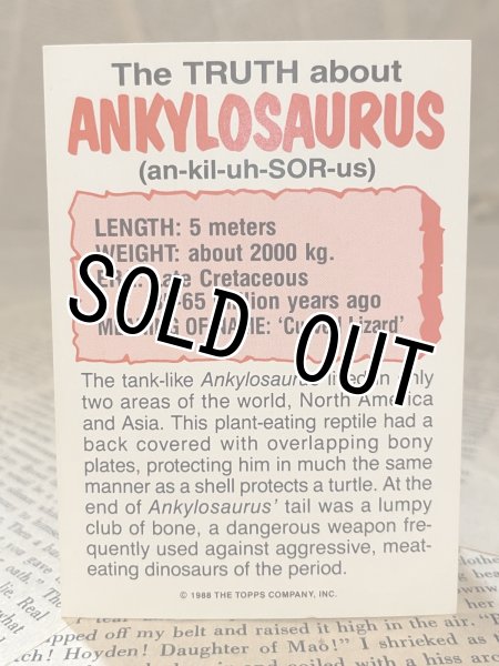 画像6: Dinosaurs Attack!/Sticker set(80s) MT-280 (6)