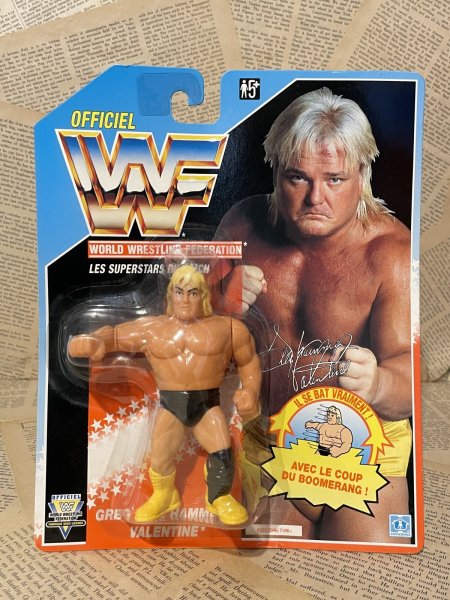 画像1: WWF/Action Figure(Greg "The Hammer" Valentine/MOC) WW-039 (1)