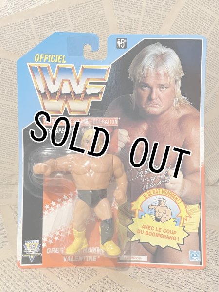 画像1: WWF/Action Figure(Greg "The Hammer" Valentine/MOC) WW-039 (1)