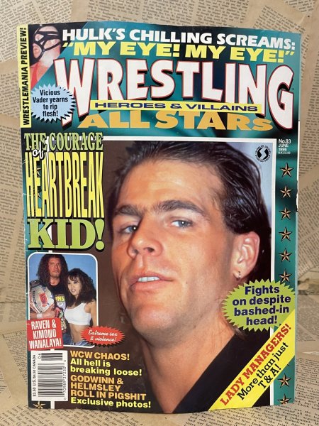 画像1: Wrestling All Stars Magazine (90s) WW-035 (1)