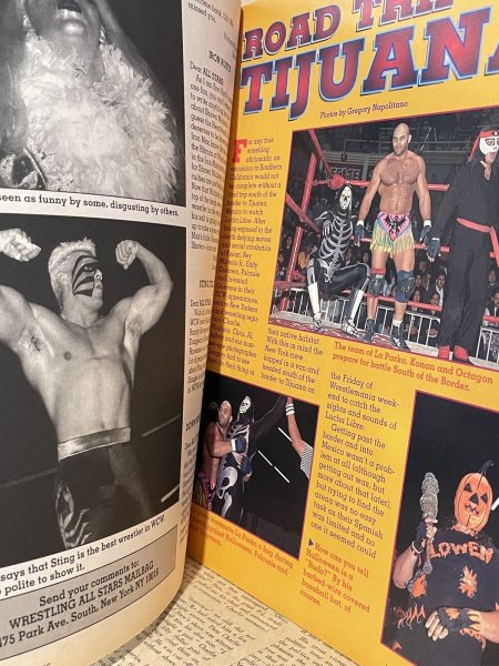 画像2: Wrestling All Stars Magazine (90s) WW-034 (2)