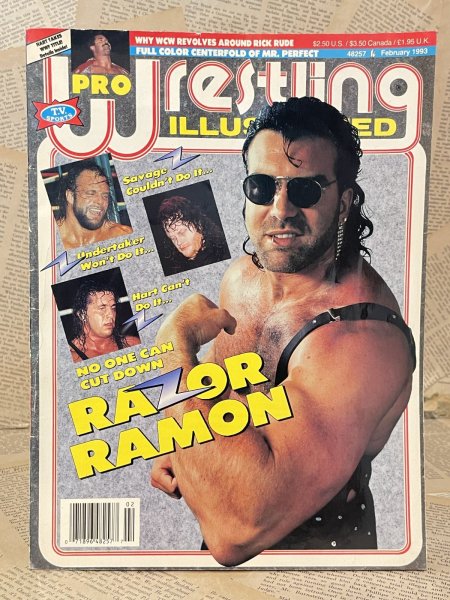 画像1: Pro Wrestling Illustrated Magazine (90s) WW-037 (1)