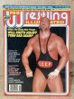 画像1: Pro Wrestling Illustrated Magazine (90s) WW-038 (1)