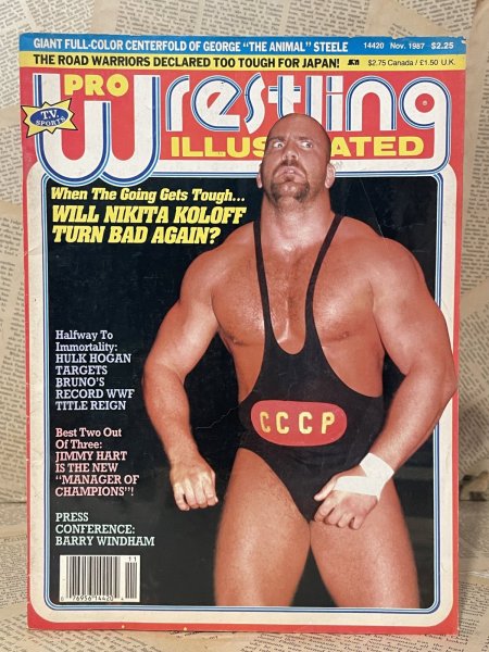 画像1: Pro Wrestling Illustrated Magazine (90s) WW-038 (1)