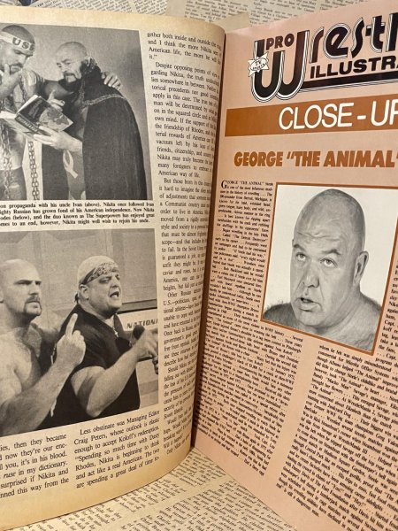 画像2: Pro Wrestling Illustrated Magazine (90s) WW-038 (2)