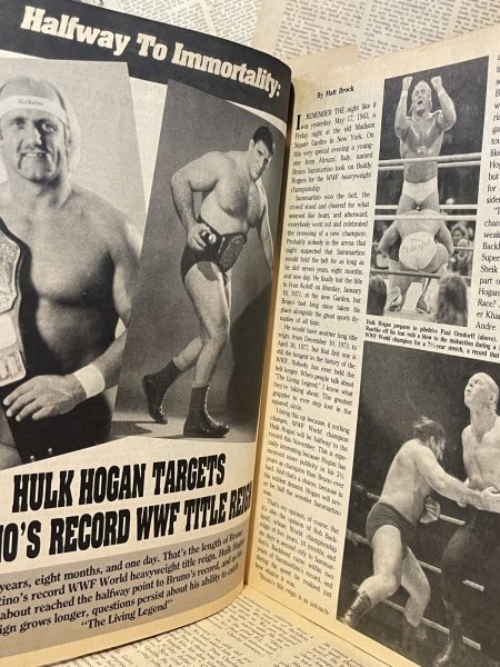 画像3: Pro Wrestling Illustrated Magazine (90s) WW-038 (3)