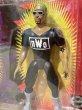 画像3: WCW/Action Figure(Hulk Hogan & Dennis Rodman/MOC) WW-045 (3)
