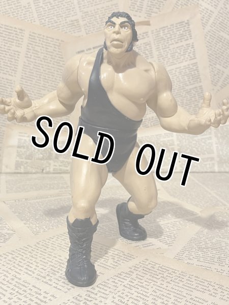 画像1: WWF/Action Figure(Andre the Giant/Loose) WW-044 (1)