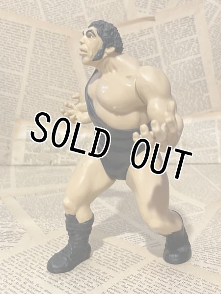 画像2: WWF/Action Figure(Andre the Giant/Loose) WW-044 (2)