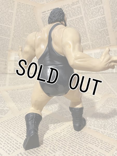 画像3: WWF/Action Figure(Andre the Giant/Loose) WW-044 (3)