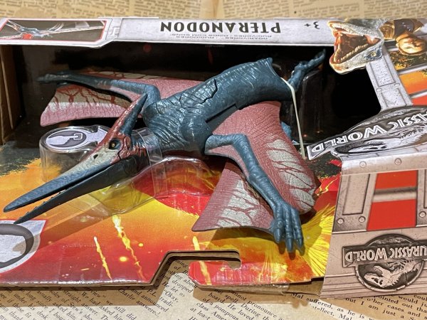 画像4: Jurassic World/Action Figure(Pteranodon/MIB) MO-430 (4)