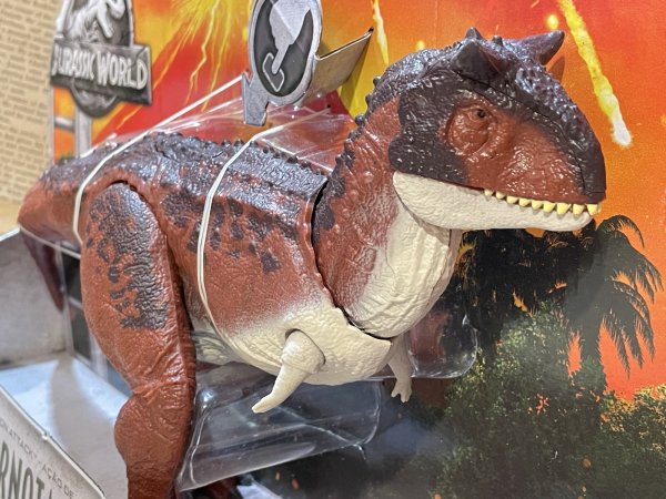 画像2: Jurassic World/Action Figure(Carnotaurus/MIB) MO-431 (2)