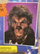 画像3: Form Fitting Rotted Teeth(90s/Werewolf) MT-322 (3)